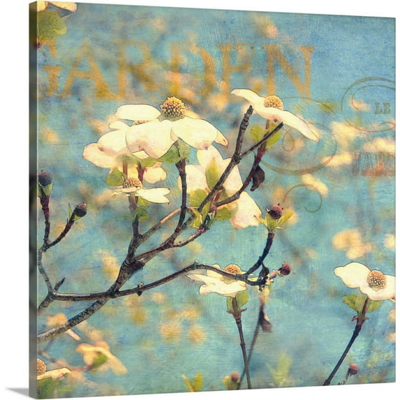 Great BIG Canvas | "Dogwood II" Canvas Wall Art - 20x20
