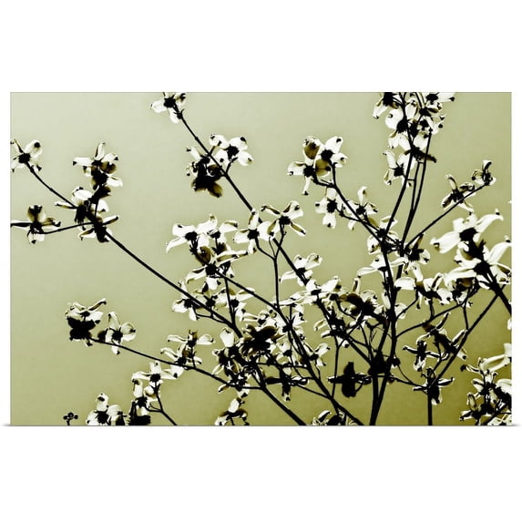 Great BIG Canvas | "Dogwood IV" Art Print - 30x20