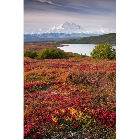 Great BIG Canvas | "Early morning view of Mt. McKinley and Wonder Lake during Autumn" Art Print - 32x48