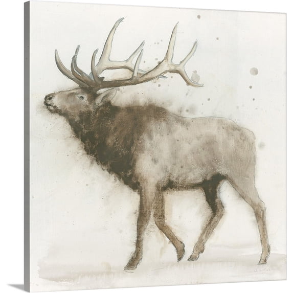 Great BIG Canvas | "Elk" Canvas Wall Art - 16x16