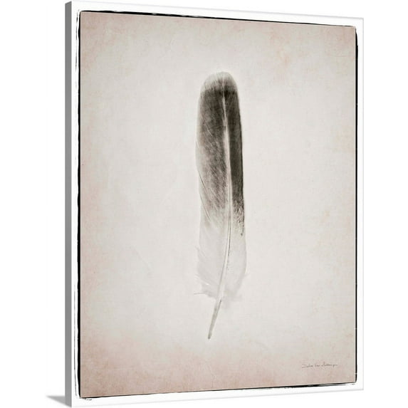 Great BIG Canvas | "Feather II BW" Canvas Wall Art - 24x30