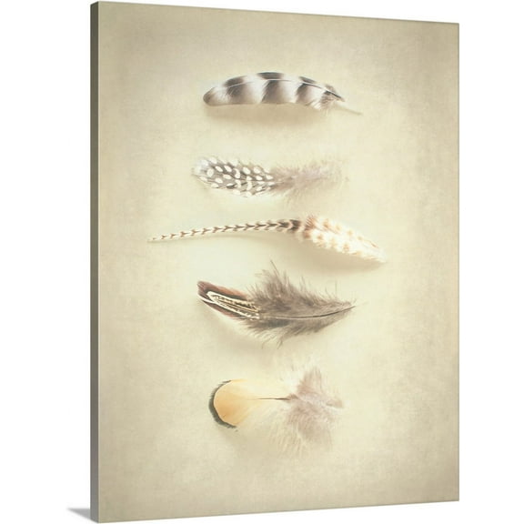 Great BIG Canvas | "Feathers III" Canvas Wall Art - 24x30