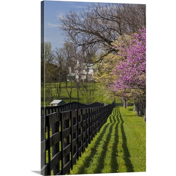 Great BIG Canvas | "Fence and dogwood and redbud trees in early spring, Lexington, Kentucky" Canvas Wall Art - 20x30