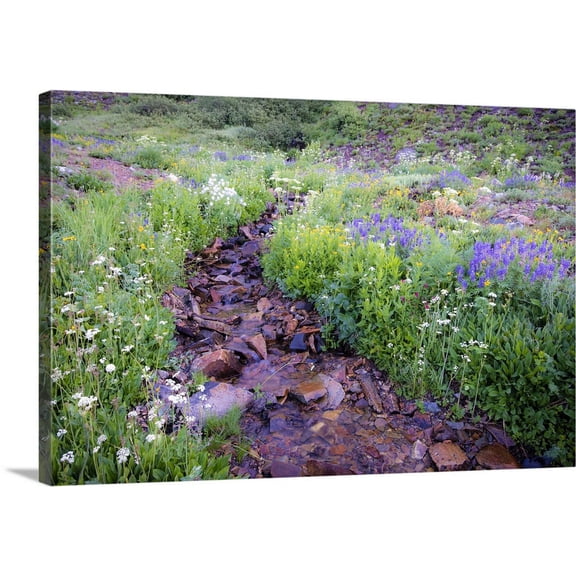 Great BIG Canvas | "Field of Beauty I" Canvas Wall Art - 36x24
