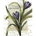thumbnail image 1 of Great BIG Canvas | "Florilegium II" Art Print - 24x30, 1 of 4