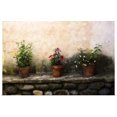 thumbnail image 1 of Great BIG Canvas | "Flowers on a Wall" Art Print - 24x16, 1 of 4