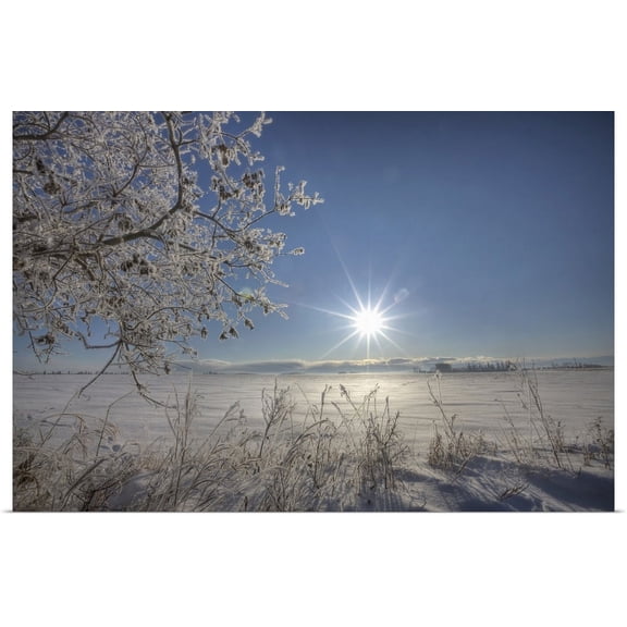 Great BIG Canvas | "Frost Covered Trees On Winter Morning, Alberta, Canada" Art Print - 36x24