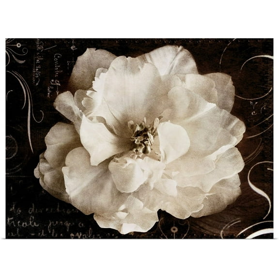 Great BIG Canvas | "Garden Journal II" Art Print - 24x18