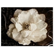 Great BIG Canvas | "Garden Journal II" Art Print - 24x18