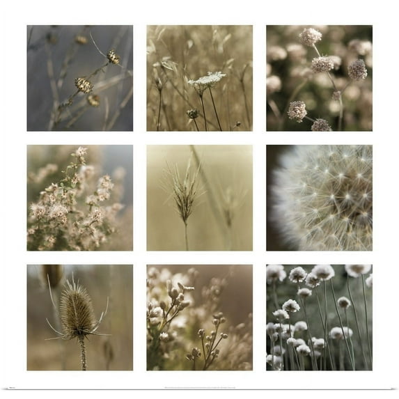 Great BIG Canvas | "Gentle Sway" Art Print - 16x16