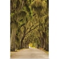 thumbnail image 1 of Great BIG Canvas | "Georgia, Savannah, Entrance drive to Bethesda School in Savannah" Art Print - 32x48, 1 of 4