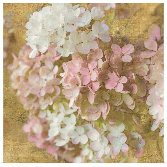 Great BIG Canvas | "Gilded Hydrangea II" Art Print - 30x30