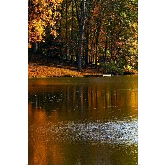 Great BIG Canvas | "Gold Reflections" Art Print - 20x30