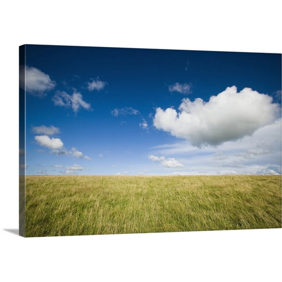 Great BIG Canvas | "Grassy Field On Hill With Blue Skies And Clouds" Canvas Wall Art - 30x20