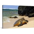 thumbnail image 1 of Great BIG Canvas | "Green Sea Turtle, Hideaways Beach, Princeville, Kauai, Hawaii" Canvas Wall Art - 48x32, 1 of 2