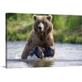thumbnail image 1 of Great BIG Canvas | "Grizzly chasing salmon in river during Summer months in Alaska" Canvas Wall Art - 30x20, 1 of 2