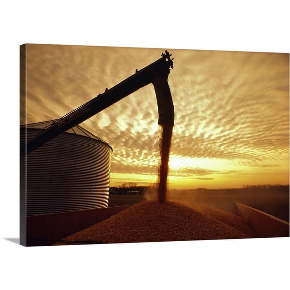 Great BIG Canvas | "Harvested grain corn being augered from a grain bin" Canvas Wall Art - 24x16