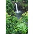 thumbnail image 1 of Great BIG Canvas | "Hawaii, Big Island, Rainbow Falls, Pool Surrounded By Tropical Foliage" Art Print - 32x48, 1 of 4