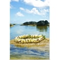 thumbnail image 1 of Great BIG Canvas | "Hawaii, Kauai, Anahola, Shark's Hei'au Along Ocean" Art Print - 32x48, 1 of 4