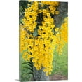 thumbnail image 1 of Great BIG Canvas | "Hawaii, Kauai, Lawai, V. Mable Mae Kamahele Yellow Orchids" Canvas Wall Art - 32x48, 1 of 2