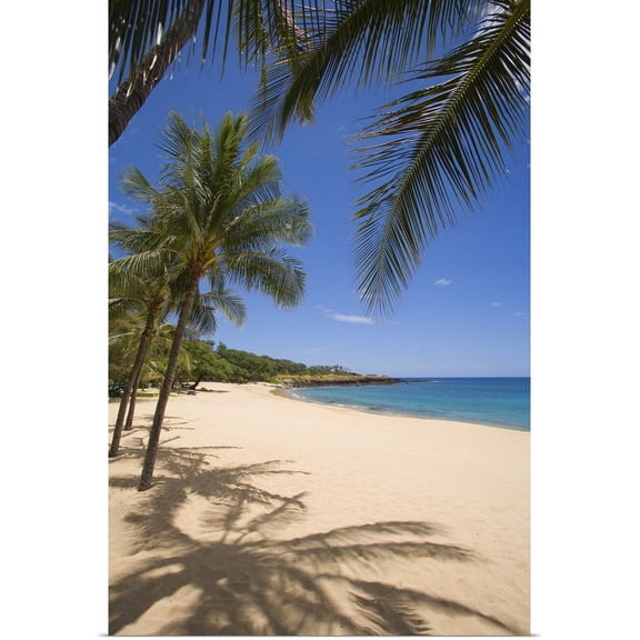Great BIG Canvas | "Hawaii, Lanai, Hulopoe Beach, Palm Trees And Shadows Along Sandy Beach" Art Print - 16x24