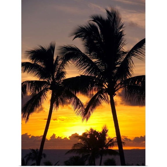 Great BIG Canvas | "Hawaii, Maui, Kapalua, Palm Trees At Sunset" Art Print - 18x24