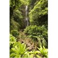 thumbnail image 1 of Great BIG Canvas | "Hawaii, Maui, Kipahulu, Hana Coast, Wailua Falls Surrounded By Foliage" Art Print - 20x30, 1 of 4