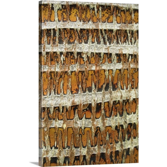 Great BIG Canvas | "Hawaii, Oahu, Close-Up Of Coconut Palm Tree Bark Texture" Canvas Wall Art - 32x48