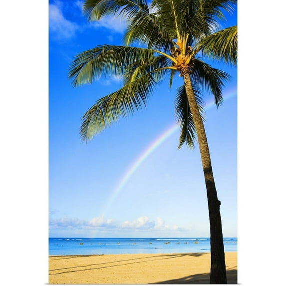 Great BIG Canvas | "Hawaii, Oahu, Honolulu, Ala Moana Beach Park, Palm Tree And Rainbow" Art Print - 20x30