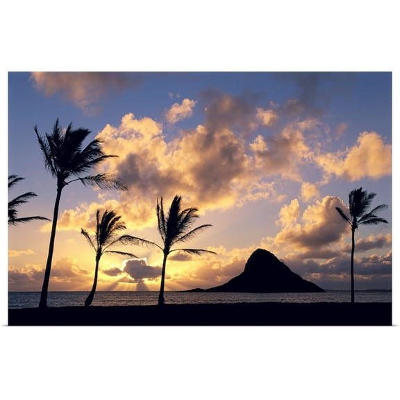 Great BIG Canvas | "Hawaii, Oahu, Kualoa County Beach Park, Mokoli'i Island Silhouetted At Sunrise" Art Print - 48x32