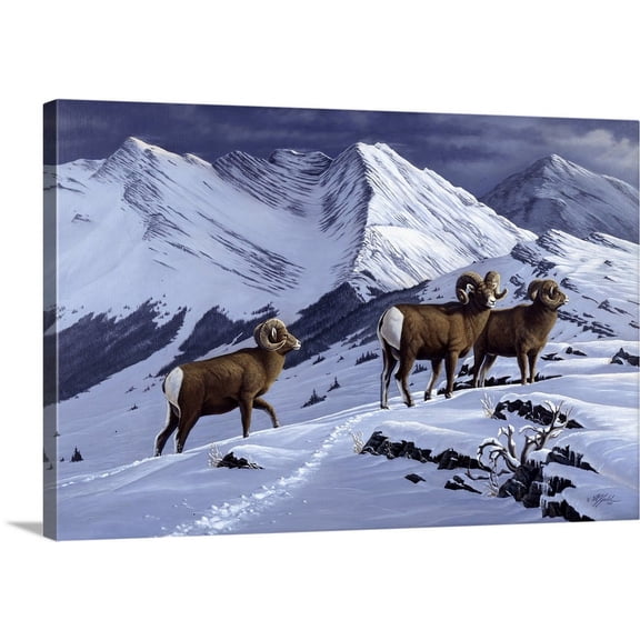 Great BIG Canvas | "High Country Rams" Canvas Wall Art - 30x20