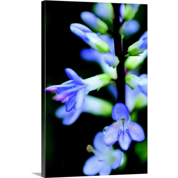 Great BIG Canvas | "In the Garden II" Canvas Wall Art - 20x30