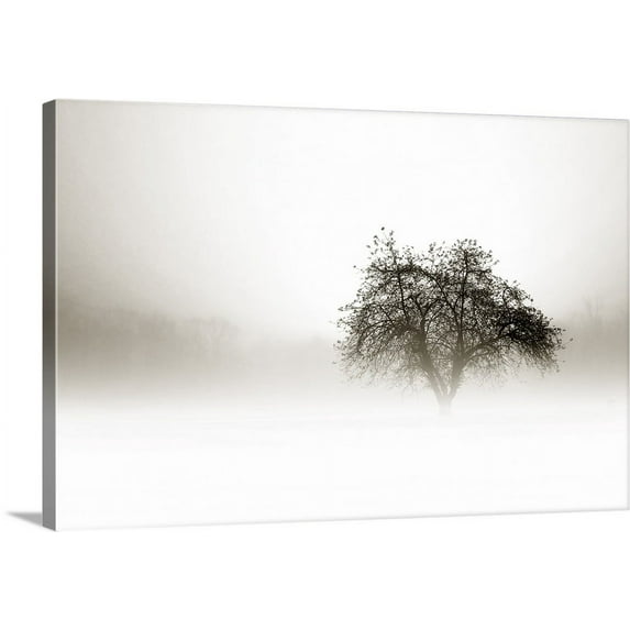 Great BIG Canvas | "In the Mist I" Canvas Wall Art - 48x32