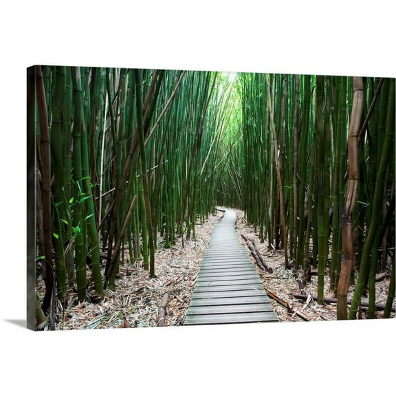Great BIG Canvas Landscapes Photography Tropical