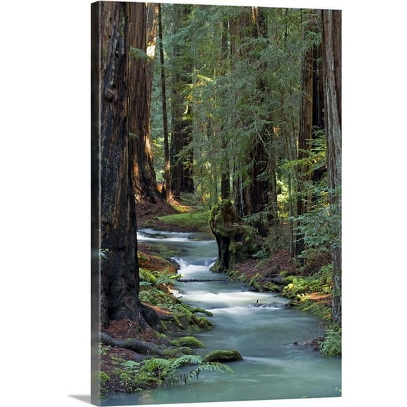 Great BIG Canvas Landscapes Photography