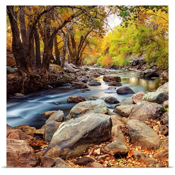 Great BIG Canvas Lee Cuellar Poster Print entitled Ogden River Foliage