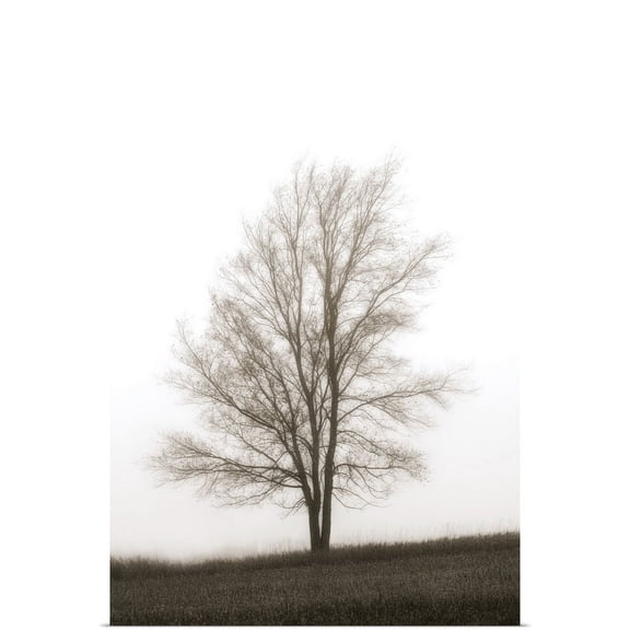 Great BIG Canvas | "Lone Tree In The Mist" Art Print - 24x36