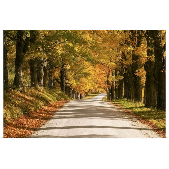 Great BIG Canvas | "Maple Canopy" Art Print - 36x24