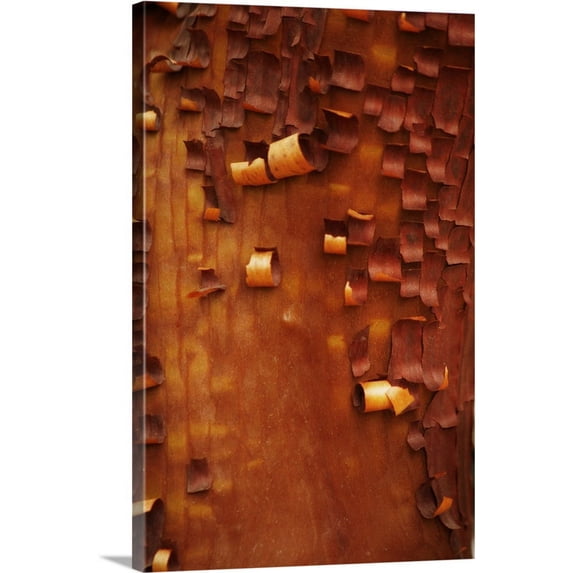 Great BIG Canvas | "Menzanita Mosaic I" Canvas Wall Art - 32x48