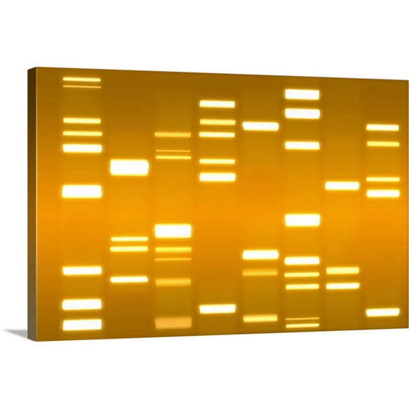 Great BIG Canvas | Michael Tompsett Premium Thick-Wrap Canvas entitled DNA Art Gold