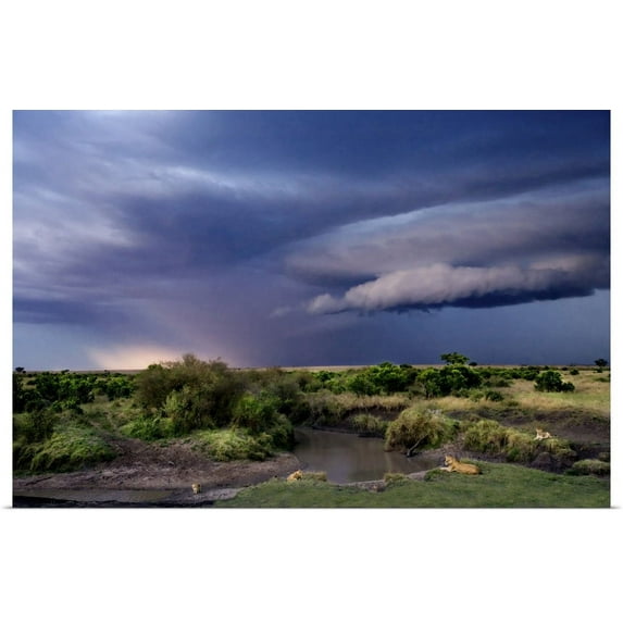 Great BIG Canvas | "Moody Sunset with Lions on the River, Kenya" Art Print - 36x24