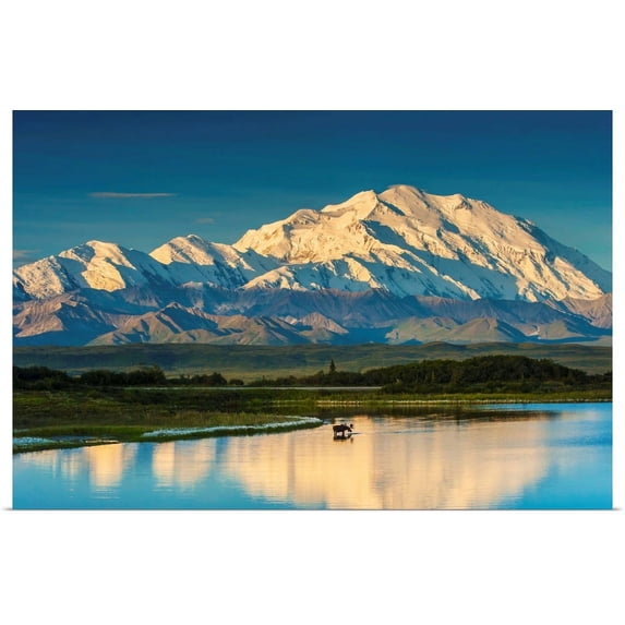 Great BIG Canvas | "Moose in a pond in Denali National Park with Mount McKinley and the Alaska Range" Art Print - 30x20