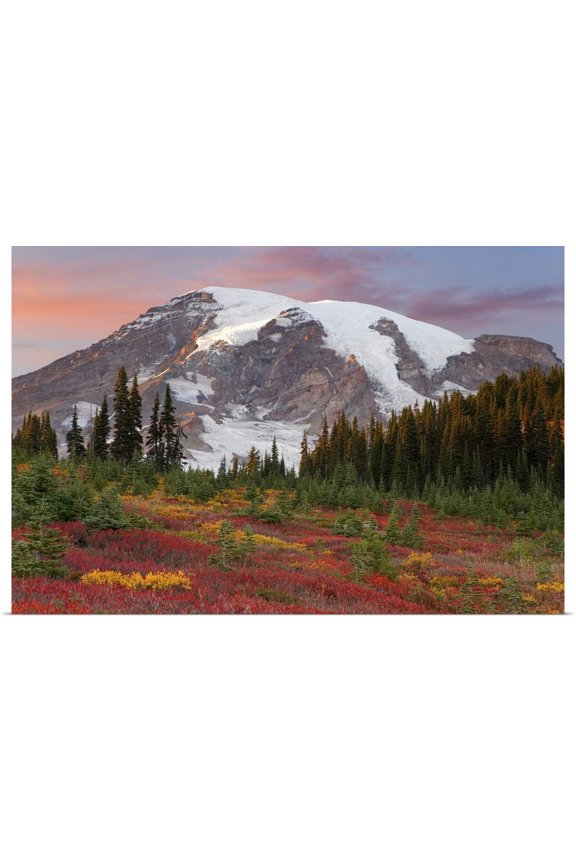 | "Mount Rainier National Park, sunset highlights on mountain and meadow" Art Print - 24x16