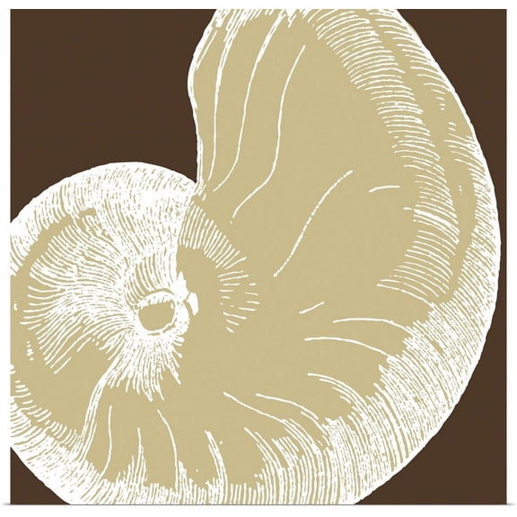 Great BIG Canvas | "Natural Shell II - mini" Art Print - 16x16