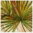 thumbnail image 1 of Great BIG Canvas | "New Palmera Take Two I" Art Print - 24x24, 1 of 4