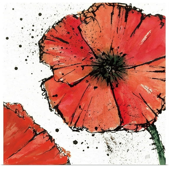 Great BIG Canvas | "Not a California Poppy on White IV" Art Print - 20x20