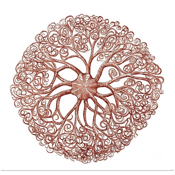 Great BIG Canvas | "Ocean Gems I" Art Print - 20x20