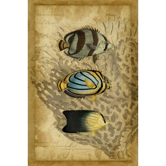 Great BIG Canvas | "Ocean Trilogy I" Black Framed Print - 16x24