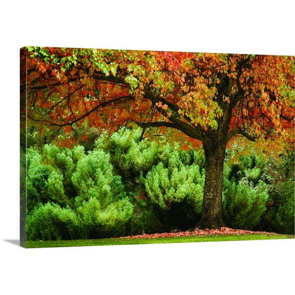 Great BIG Canvas | "Ocean of Colors" Canvas Wall Art - 36x24