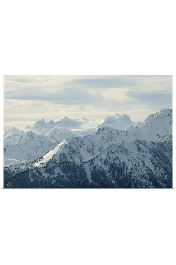 | "Olympic Mountains viewed from Hurricane Ridge, Mount Olympus and glacier" Art Print - 48x32